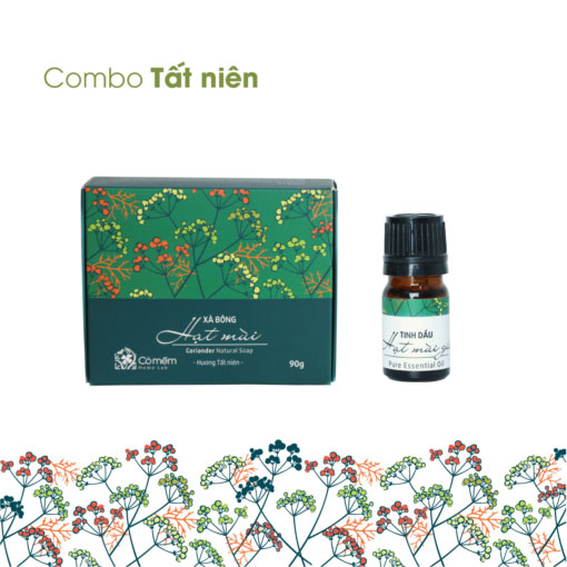 _trans_combo-tat-nien-510x510